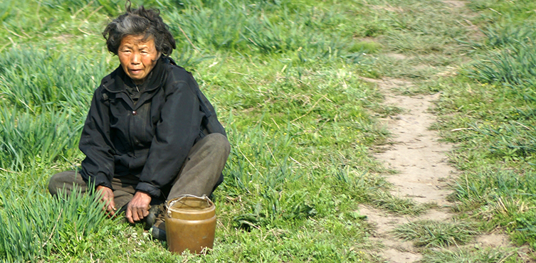 Zdjęcie: Kobieta pracująca na polu w Korei Płn.