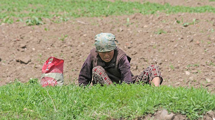 2020-08-26_Open_Doors_753x420_Korea_Północna_DetailPage.jpg