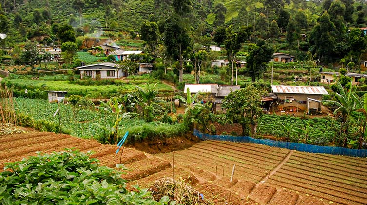 Sri lanka