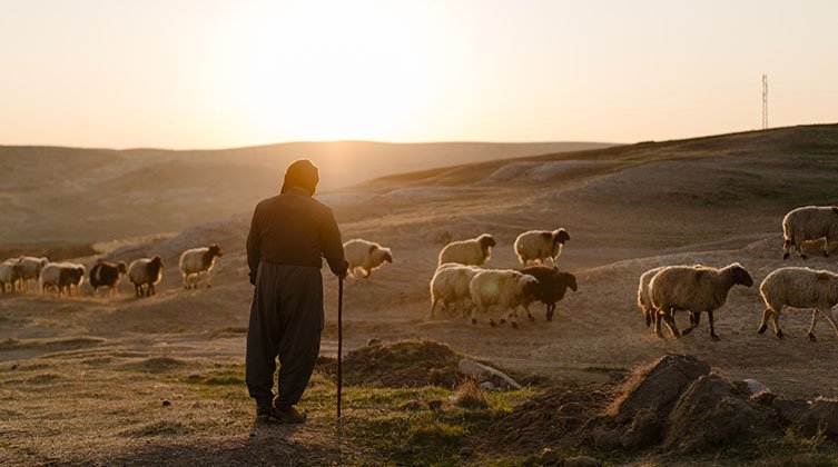 IRAK: Pasterz z Bożą misją