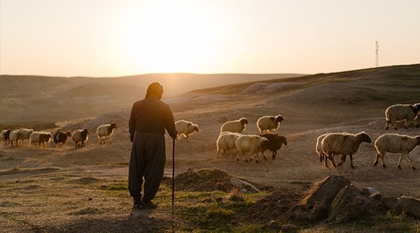 IRAK: Pasterz z Bożą misją